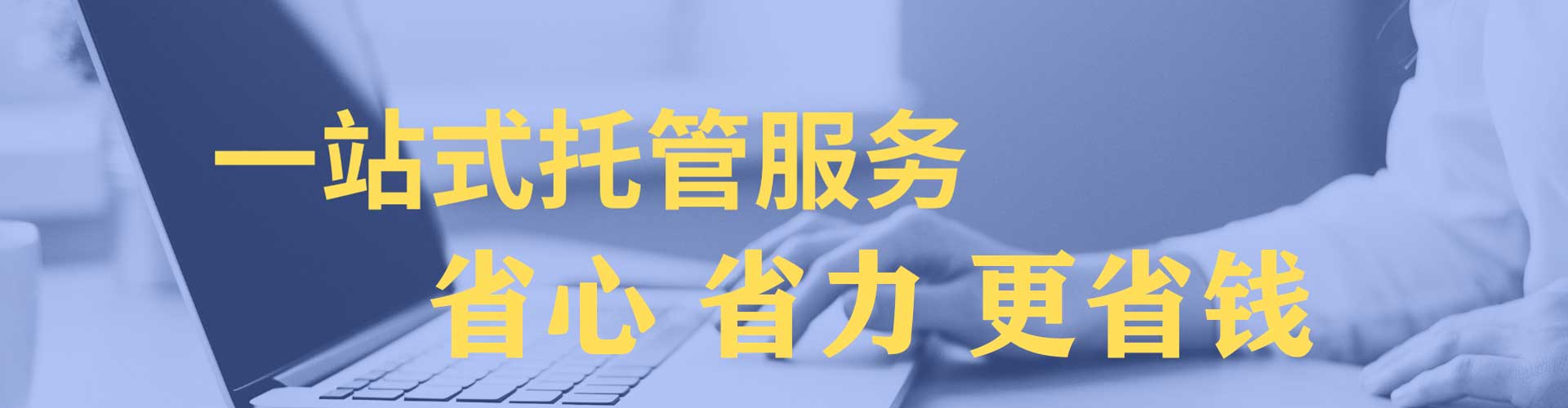 六枝特竞价代运营